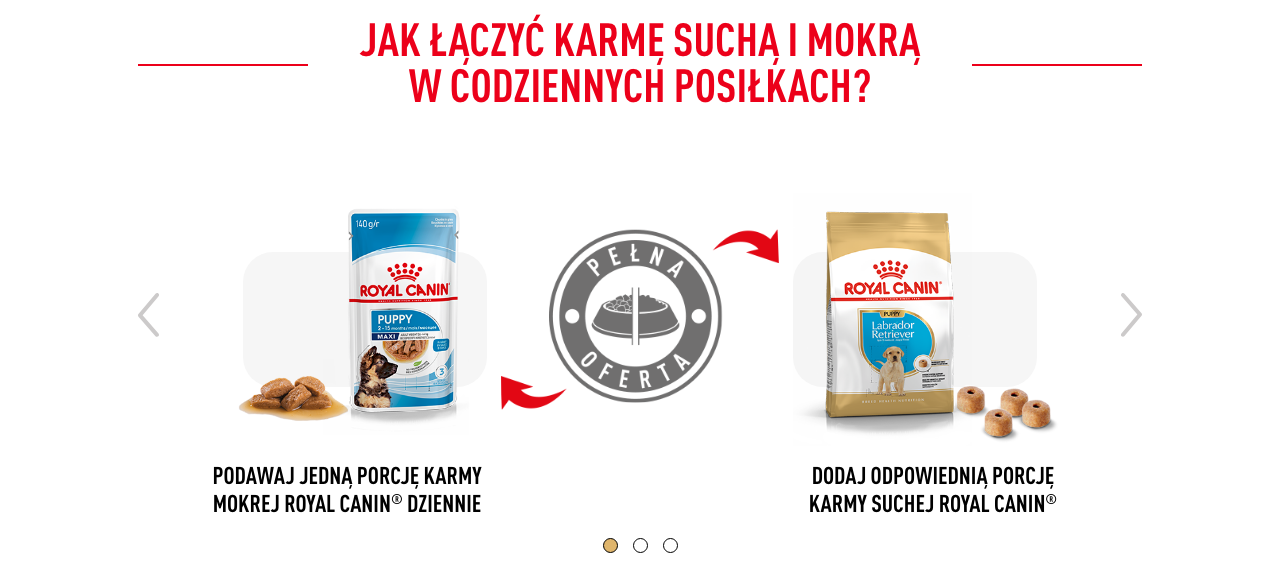 ROYAL CANIN Labrador Retriever Puppy Junior karma sucha dla szczeniąt do 15 miesiąca, rasy labrador retriever