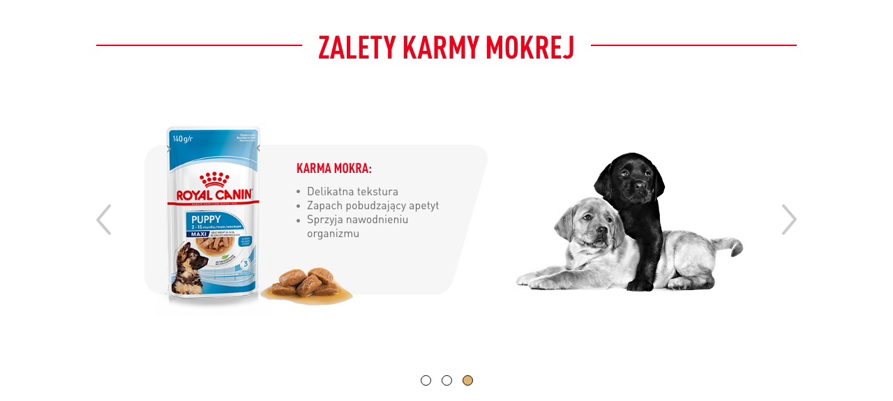 ROYAL CANIN Labrador Retriever Puppy Junior karma sucha dla szczeniąt do 15 miesiąca, rasy labrador retriever