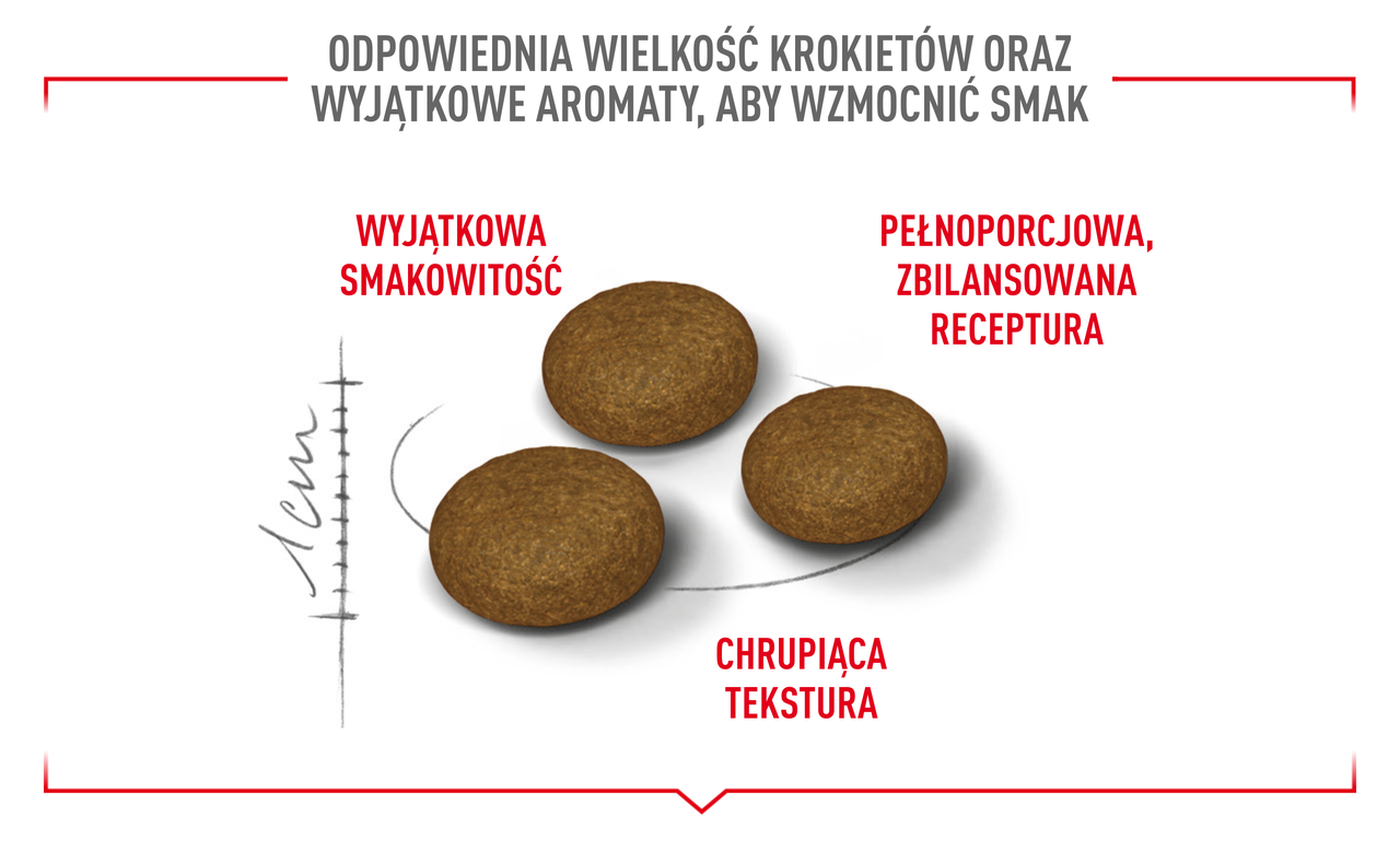 ROYAL CANIN Exigent Fussy