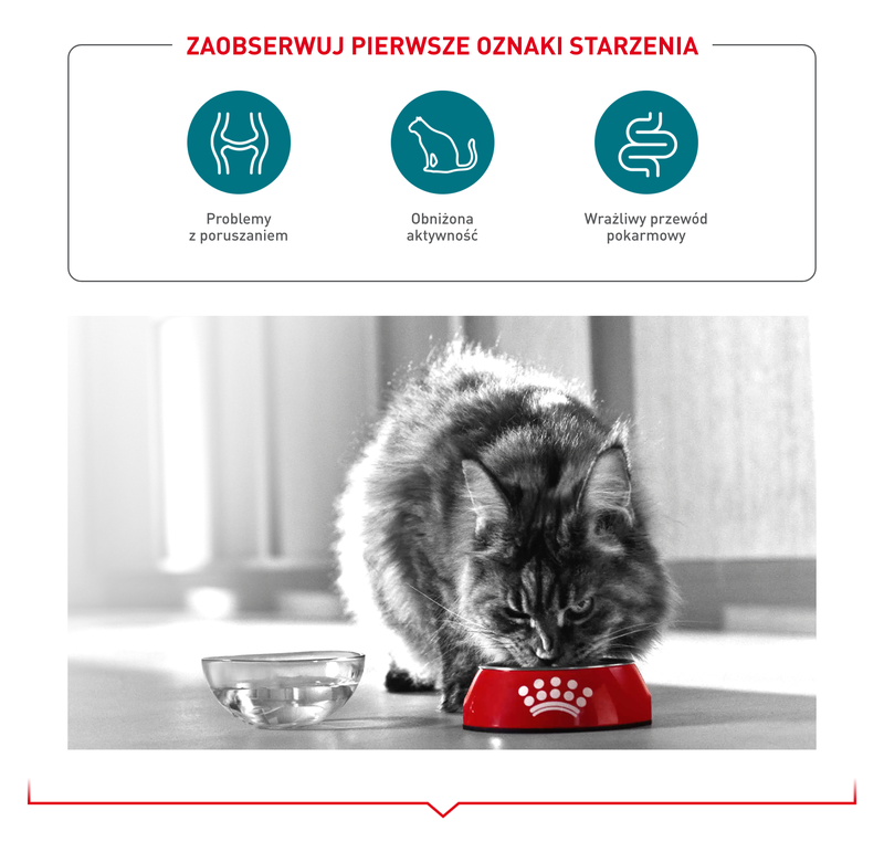 ROYAL CANIN Ageing 11+