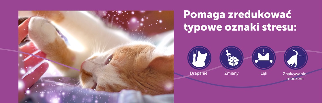 FELIWAY Classic Dyfuzor + Wkład feromony na uspokojenie dla kota