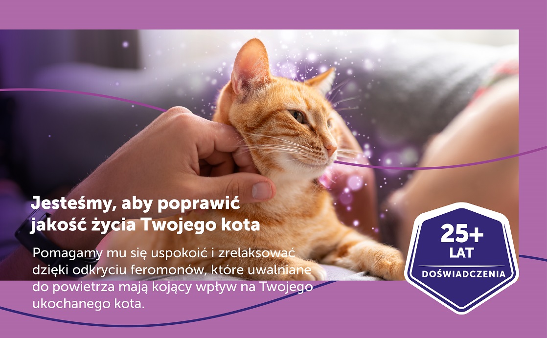 FELIWAY Classic Spray feromony na uspokojenie dla kota