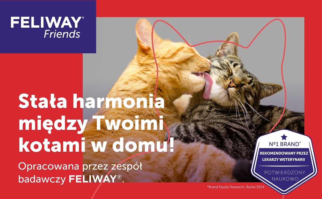 FELIWAY Friends Wkład feromony na konflikty między kotami