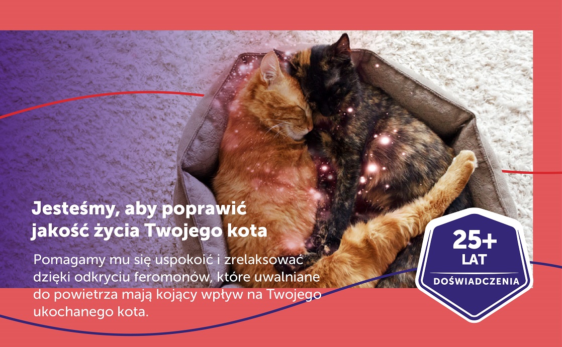 FELIWAY Friends Wkład feromony na konflikty między kotami