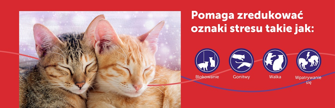 FELIWAY Friends Dyfuzor + Wkład feromony na konflikty między kotami