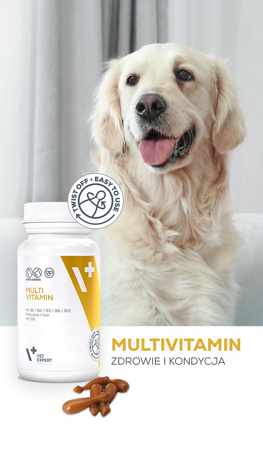 VET EXPERT Multivitamin Witalność Suplement diety dla psa i kota 30 kapsułek