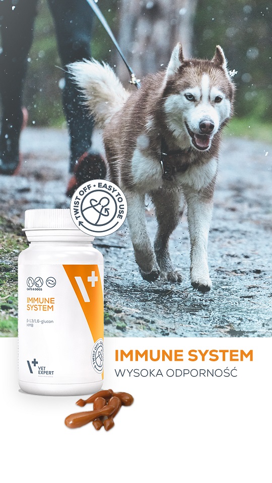 VET EXPERT Immune System Odporność Suplement diety dla psa i kota 30 kapsułek