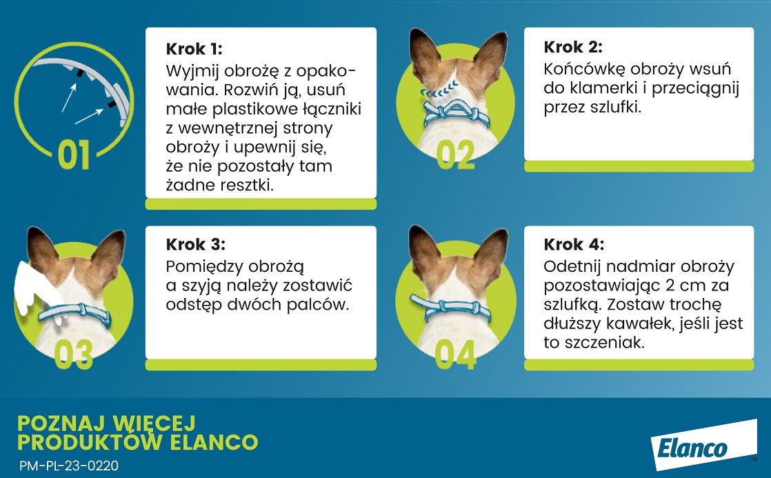 BAYER FORESTO Obroża dla kota i psa przeciw kleszczom i pchłom poniżej 8 kg