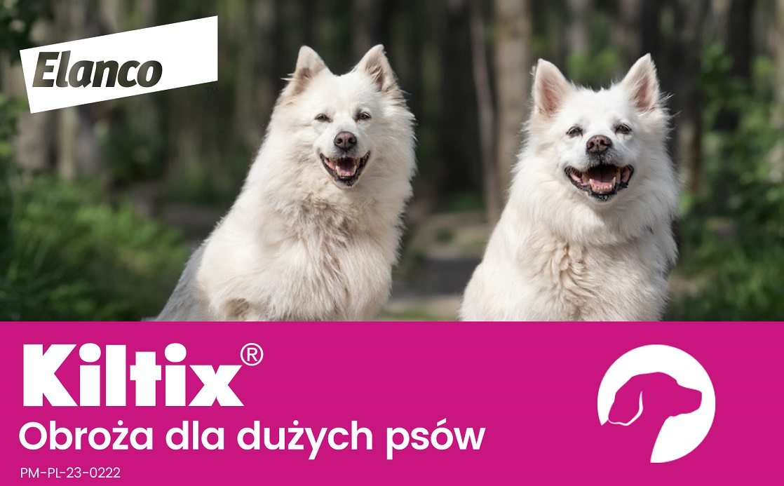 BAYER KILTIX Obroża przeciw pchłom i kleszczom dla dużych psów 70 cm 
