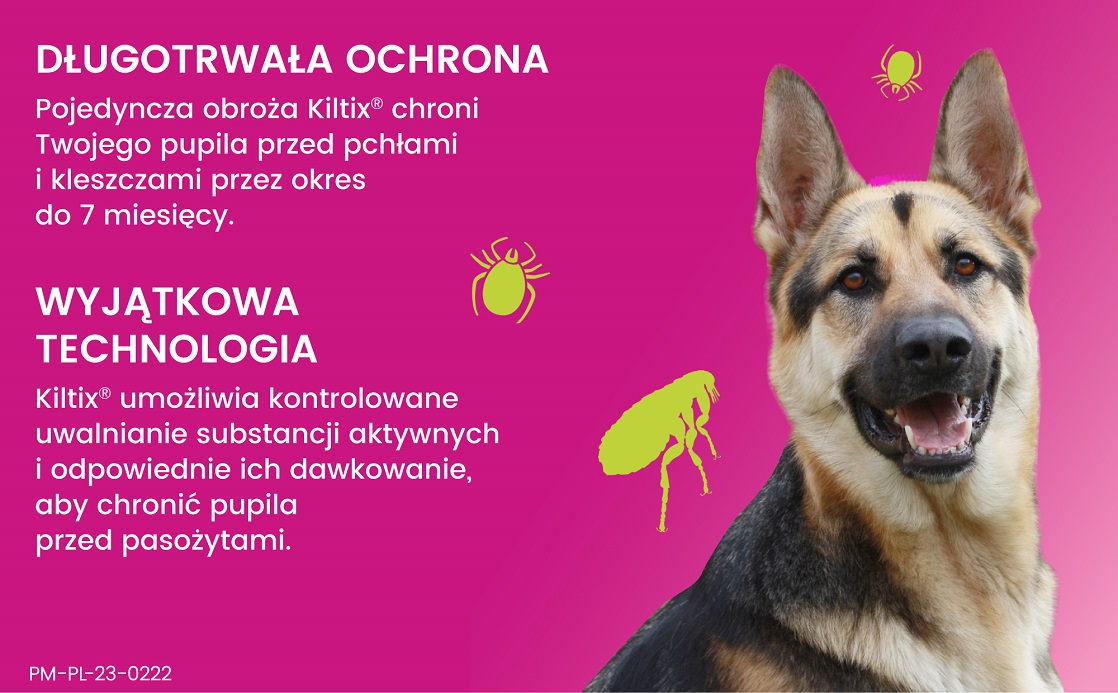 BAYER KILTIX Obroża przeciw pchłom i kleszczom dla dużych psów 70 cm 