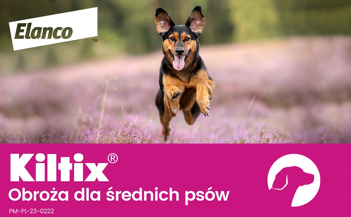 BAYER KILTIX Obroża przeciw pchłom i kleszczom dla średnich psów 53 cm