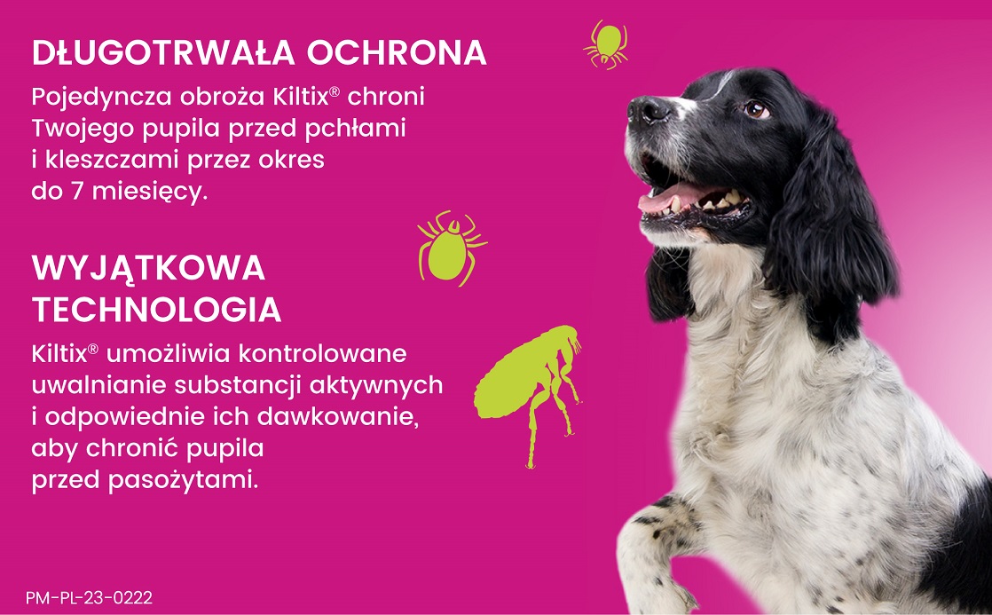 BAYER KILTIX Obroża przeciw pchłom i kleszczom dla średnich psów 53 cm