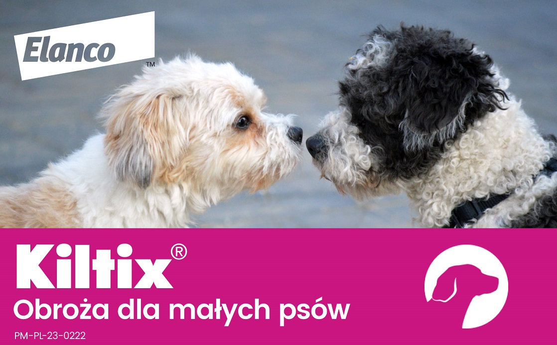 BAYER KILTIX Obroża przeciw pchłom i kleszczom dla małych psów 38 cm 