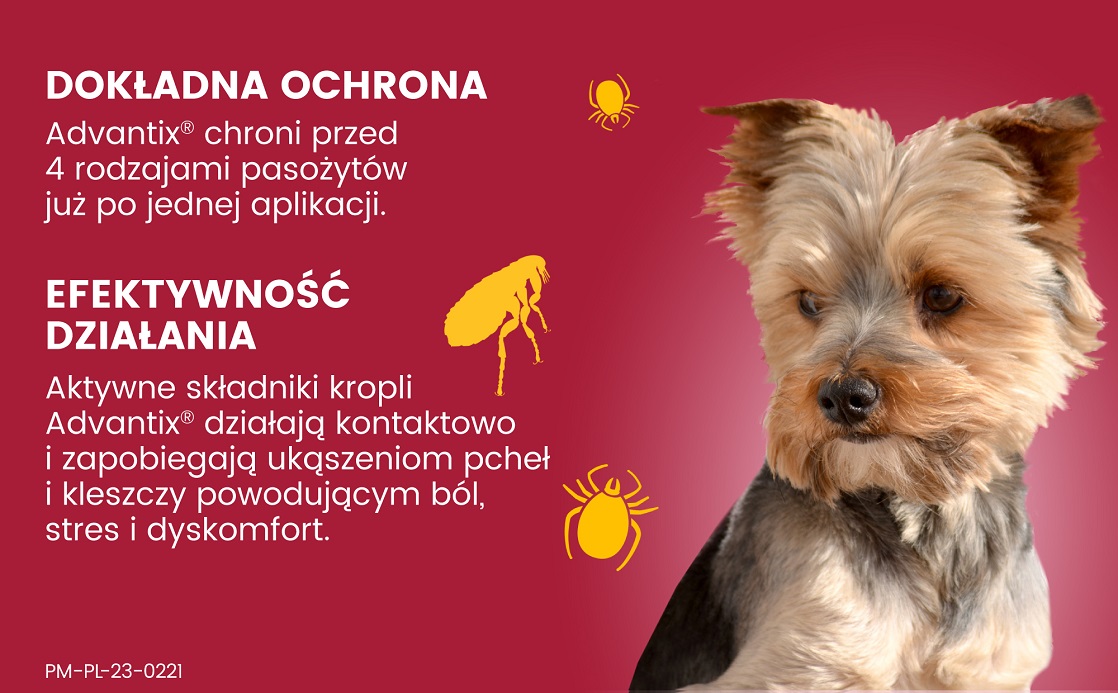 BAYER ADVANTIX Roztwór do nakrapiania dla psów do 4 kg (1 x 0,4 ml)