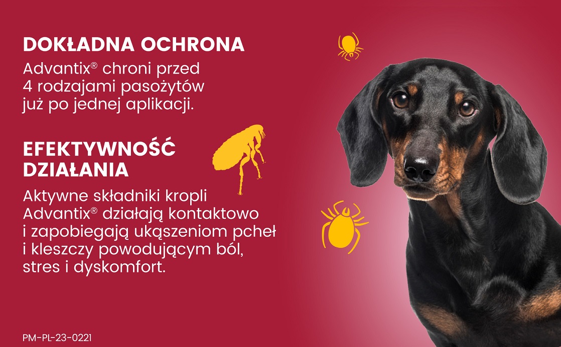 BAYER ADVANTIX Roztwór do nakrapiania dla psów od 4 do 10 kg (4 x 1ml)