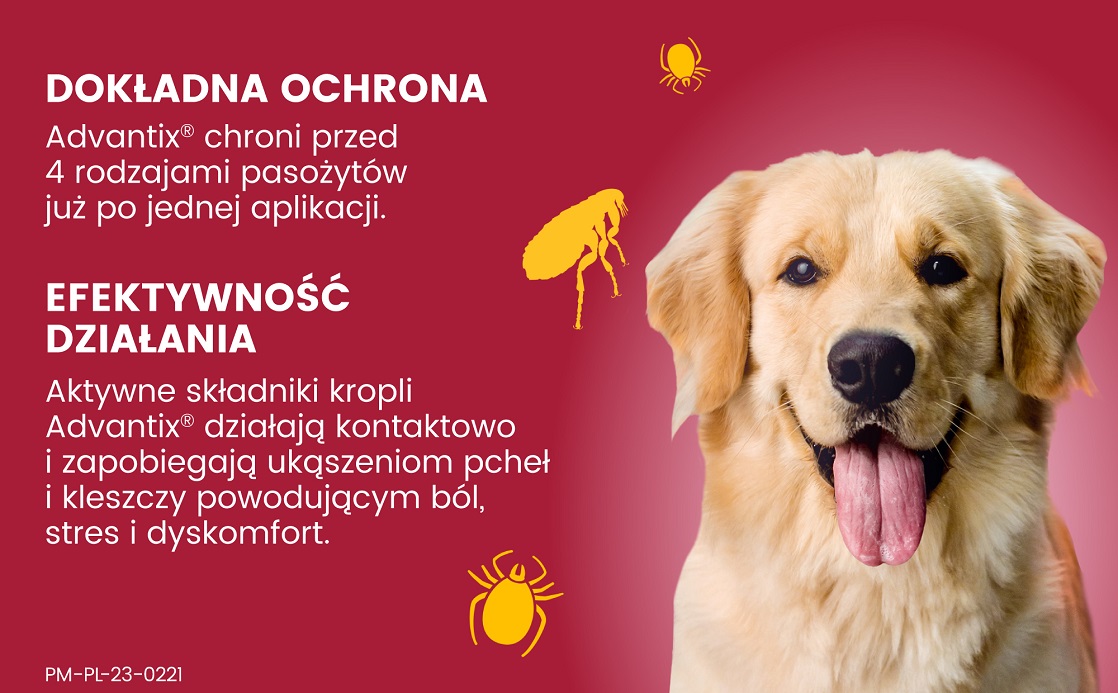 BAYER ADVANTIX Roztwór do nakrapiania dla psów od 25 do 40 kg (1 x 4 ml)