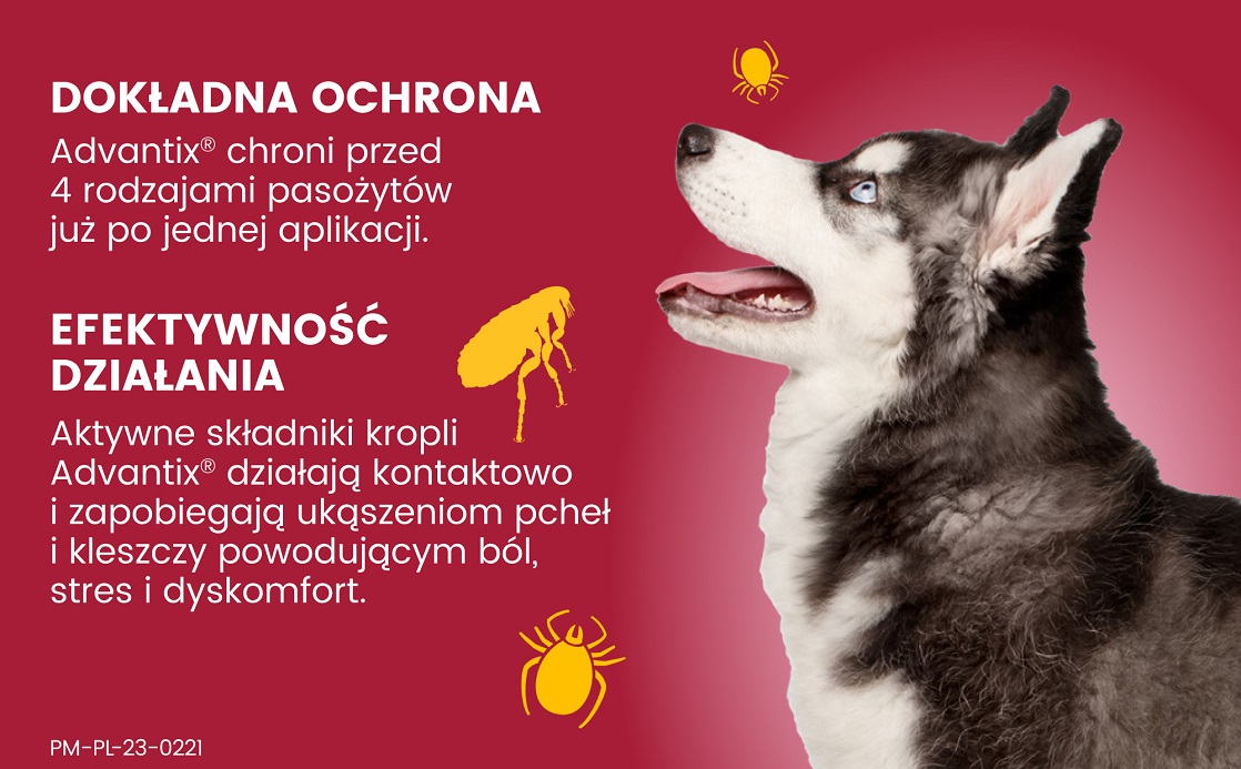 BAYER ADVANTIX Roztwór do nakrapiania dla psów od 10 do 25 kg (4 x 2,5 ml)