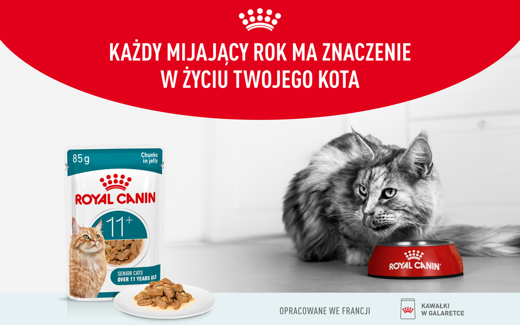 ROYAL CANIN Ageing 11+ Jelly 12x85 g kawałki w galaretce dla kotów dojrzałych po 11 roku życia