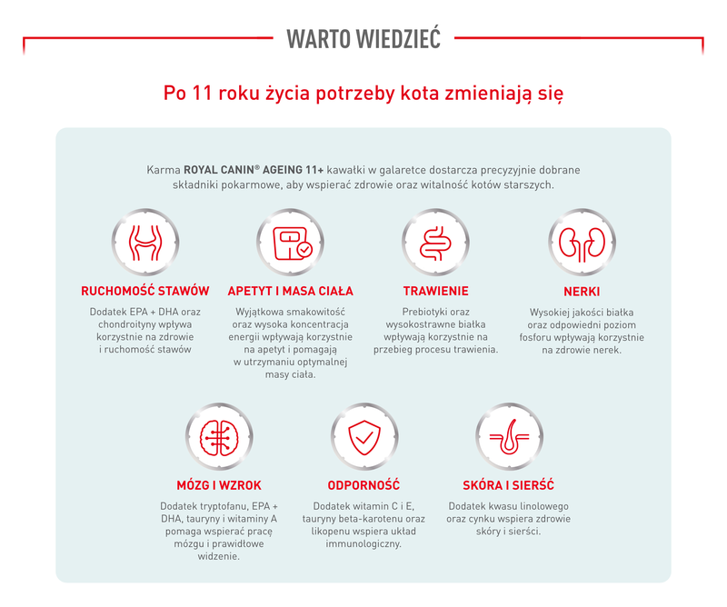 ROYAL CANIN Ageing 11+ Jelly 12x85 g kawałki w galaretce dla kotów dojrzałych po 11 roku życia