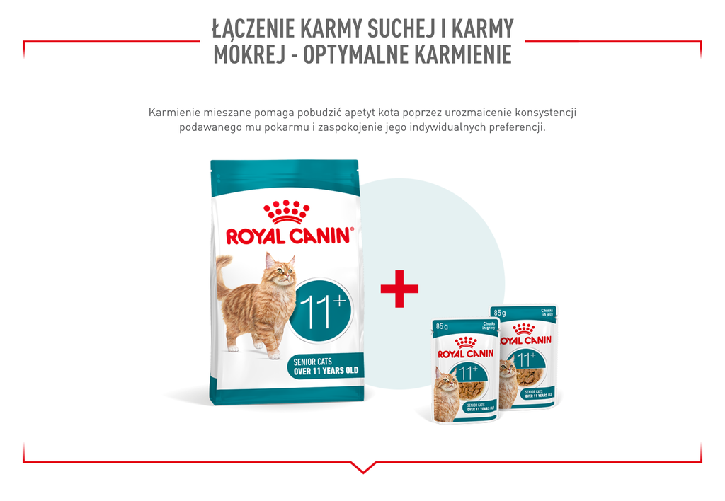 ROYAL CANIN Ageing 11+ Jelly 12x85 g kawałki w galaretce dla kotów dojrzałych po 11 roku życia
