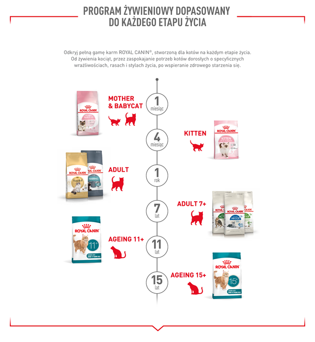 ROYAL CANIN Ageing 11+ Jelly 12x85 g kawałki w galaretce dla kotów dojrzałych po 11 roku życia