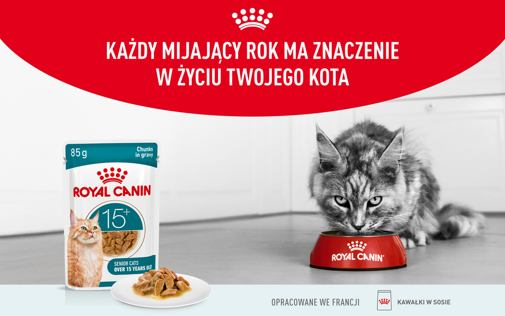 ROYAL CANIN Ageing 15+ Gravy 12x85 g kawałki w sosie dla kotów dojrzałych po 15 roku życia