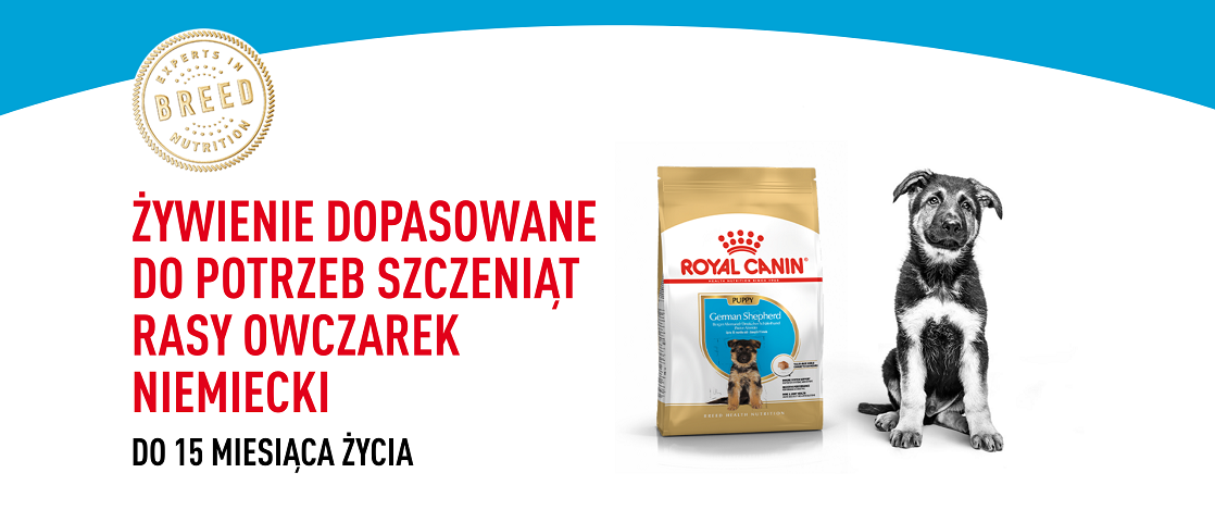 ROYAL CANIN German Shepherd Puppy karma sucha dla szczeniąt do 15 miesiąca, rasy owczarek niemiecki 