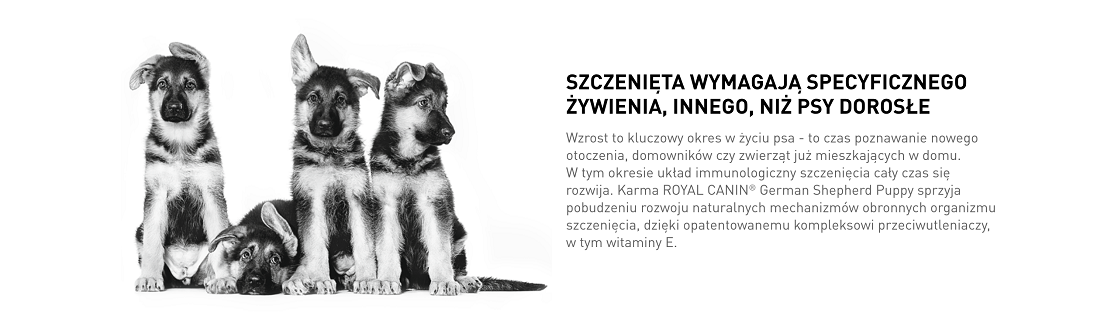 ROYAL CANIN German Shepherd Puppy karma sucha dla szczeniąt do 15 miesiąca, rasy owczarek niemiecki 
