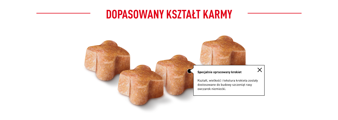 ROYAL CANIN German Shepherd Puppy karma sucha dla szczeniąt do 15 miesiąca, rasy owczarek niemiecki 