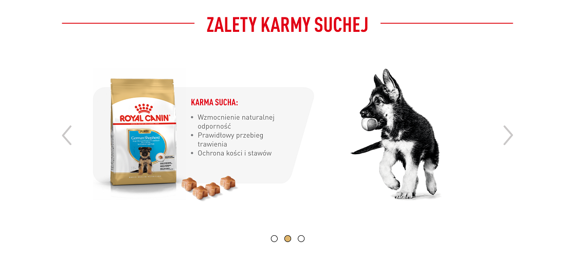 ROYAL CANIN German Shepherd Puppy karma sucha dla szczeniąt do 15 miesiąca, rasy owczarek niemiecki 