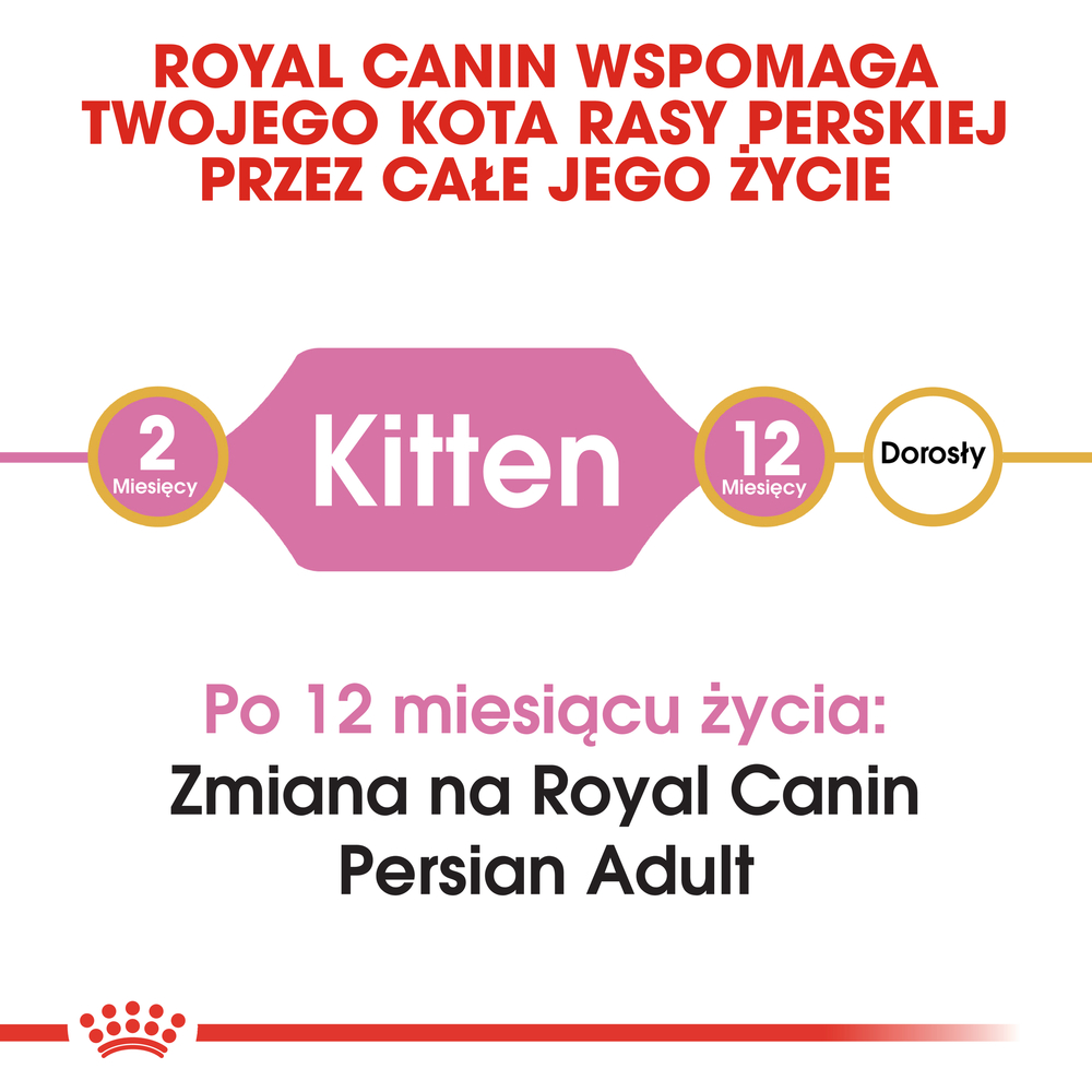 ROYAL CANIN Kitten persian 2 kg karma sucha dla kociąt do 12 miesiąca życia rasy perskiej