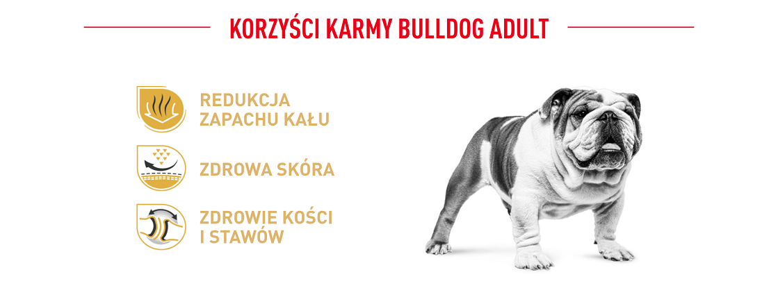 ROYAL CANIN Bulldog Adult karma sucha dla psów dorosłych rasy bulldog 12 kg