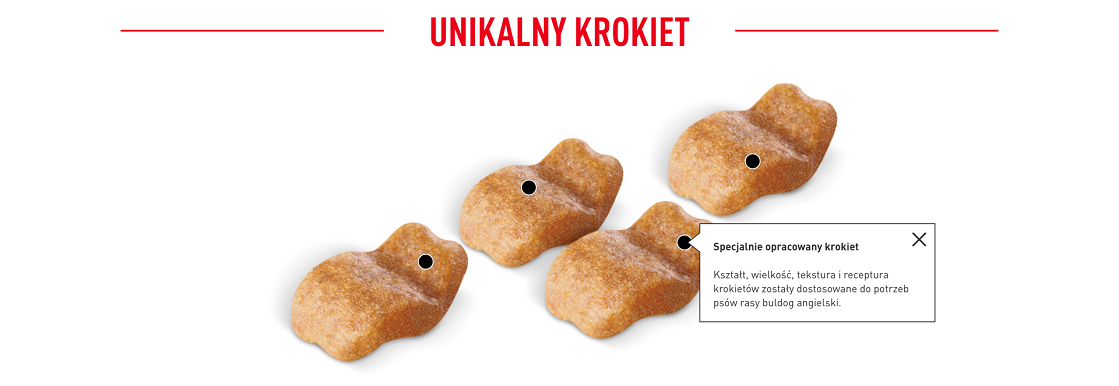 ROYAL CANIN Bulldog Adult karma sucha dla psów dorosłych rasy bulldog 12 kg