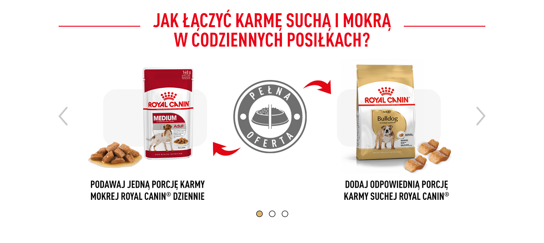 ROYAL CANIN Bulldog Adult karma sucha dla psów dorosłych rasy bulldog 12 kg