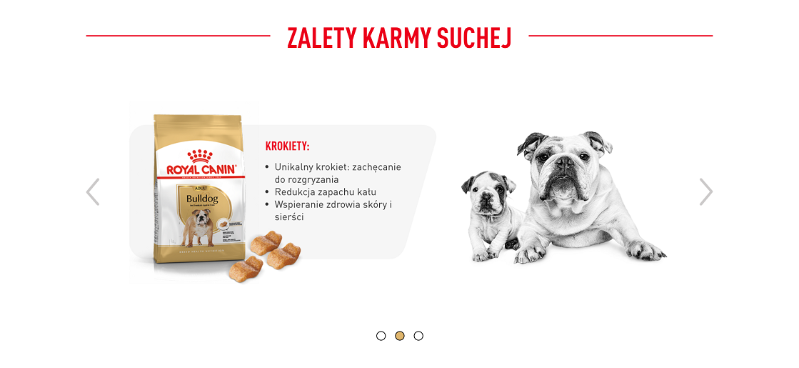 ROYAL CANIN Bulldog Adult karma sucha dla psów dorosłych rasy bulldog 12 kg