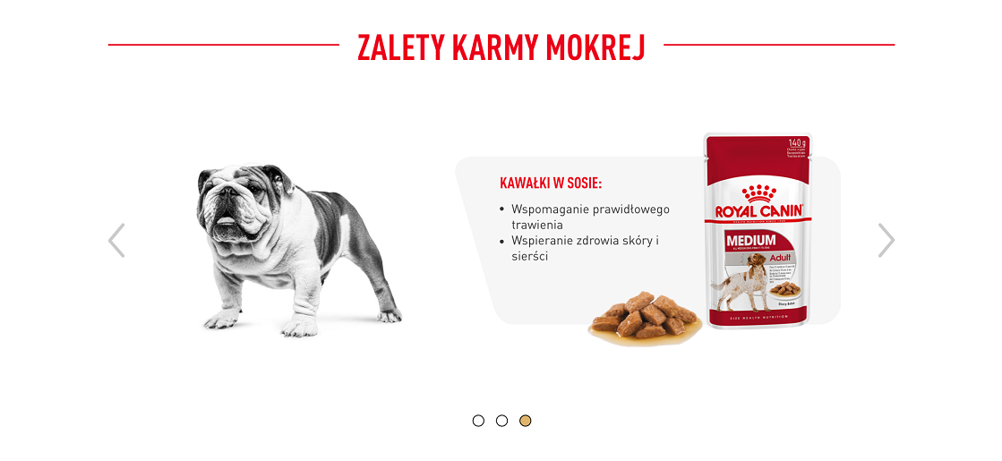 ROYAL CANIN Bulldog Adult karma sucha dla psów dorosłych rasy bulldog 12 kg