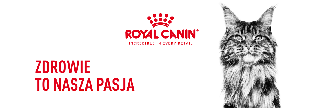 ROYAL CANIN British Shorthair karma sucha dla kotów dorosłych rasy brytyjski krótkowłosy 10 kg
