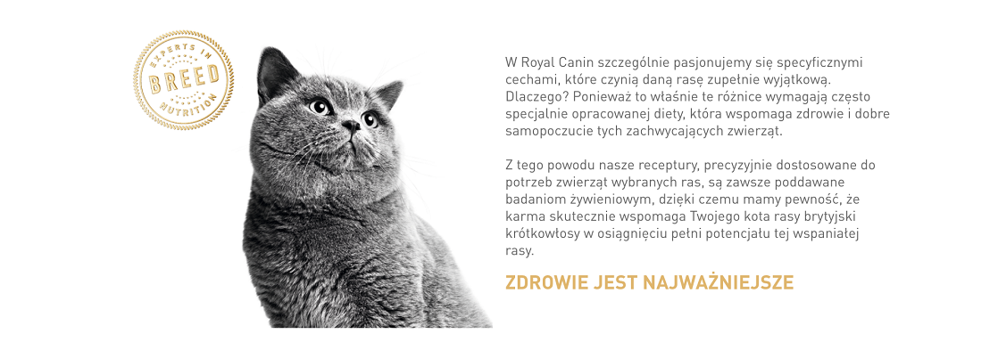 ROYAL CANIN British Shorthair karma sucha dla kotów dorosłych rasy brytyjski krótkowłosy 10 kg