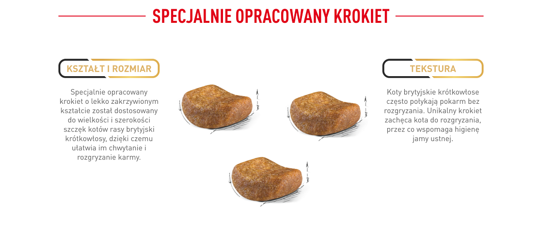 ROYAL CANIN British Shorthair karma sucha dla kotów dorosłych rasy brytyjski krótkowłosy 10 kg