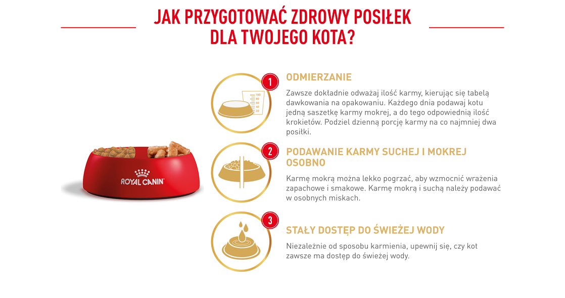 ROYAL CANIN British Shorthair karma sucha dla kotów dorosłych rasy brytyjski krótkowłosy 10 kg