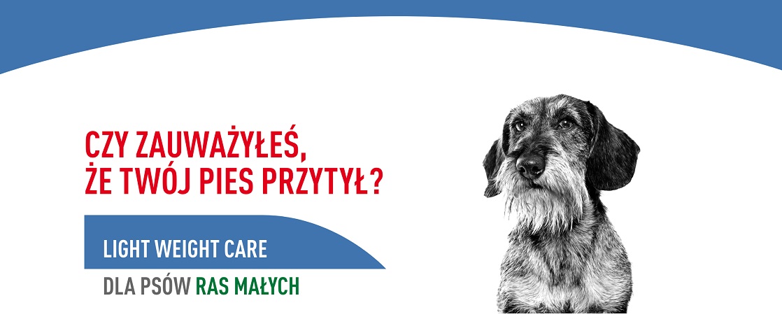 ROYAL CANIN CCN Mini Light Weight Care