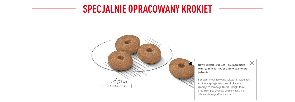 ROYAL CANIN CCN Mini Light Weight Care