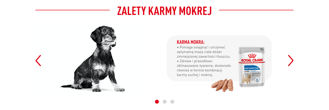 ROYAL CANIN CCN Mini Light Weight Care