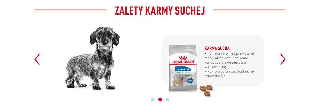 ROYAL CANIN CCN Mini Light Weight Care