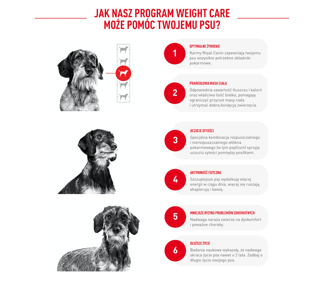 ROYAL CANIN CCN Mini Light Weight Care