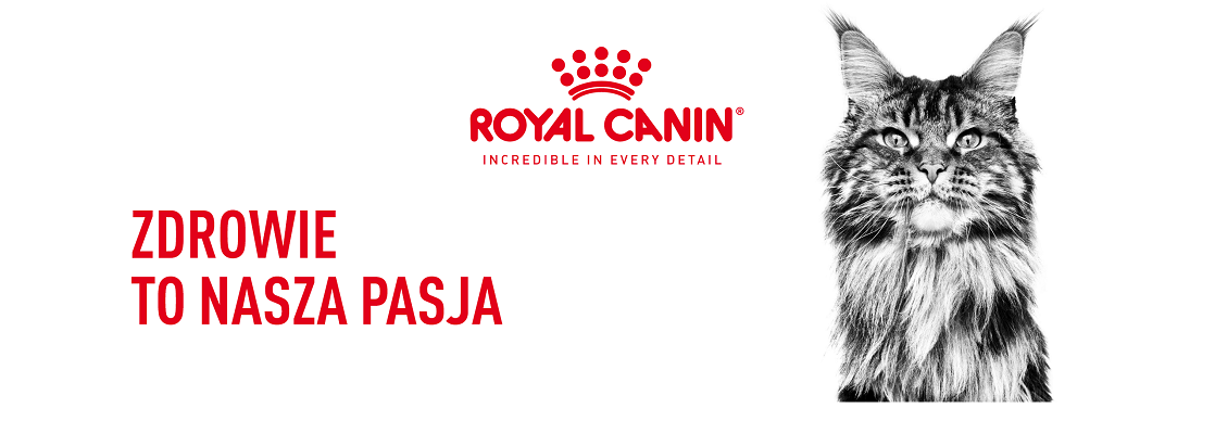 ROYAL CANIN Maine Coon Adult karma sucha dla kotów dorosłych rasy maine coon