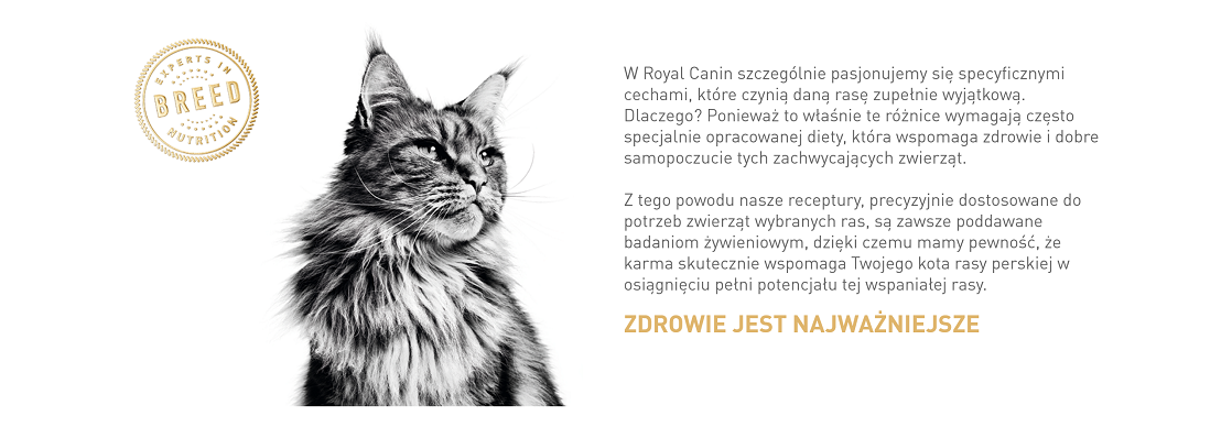 ROYAL CANIN Maine Coon Adult karma sucha dla kotów dorosłych rasy maine coon