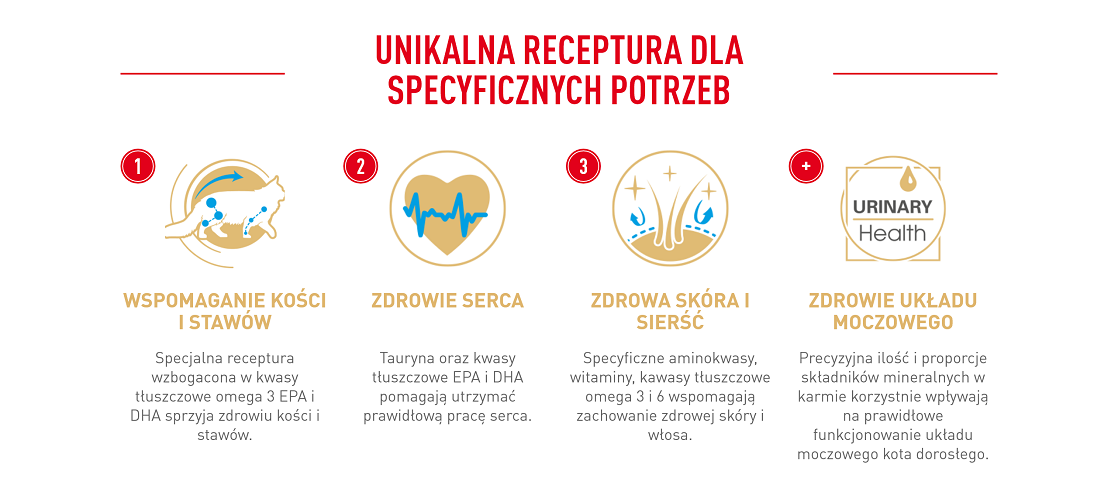 ROYAL CANIN Maine Coon Adult karma sucha dla kotów dorosłych rasy maine coon