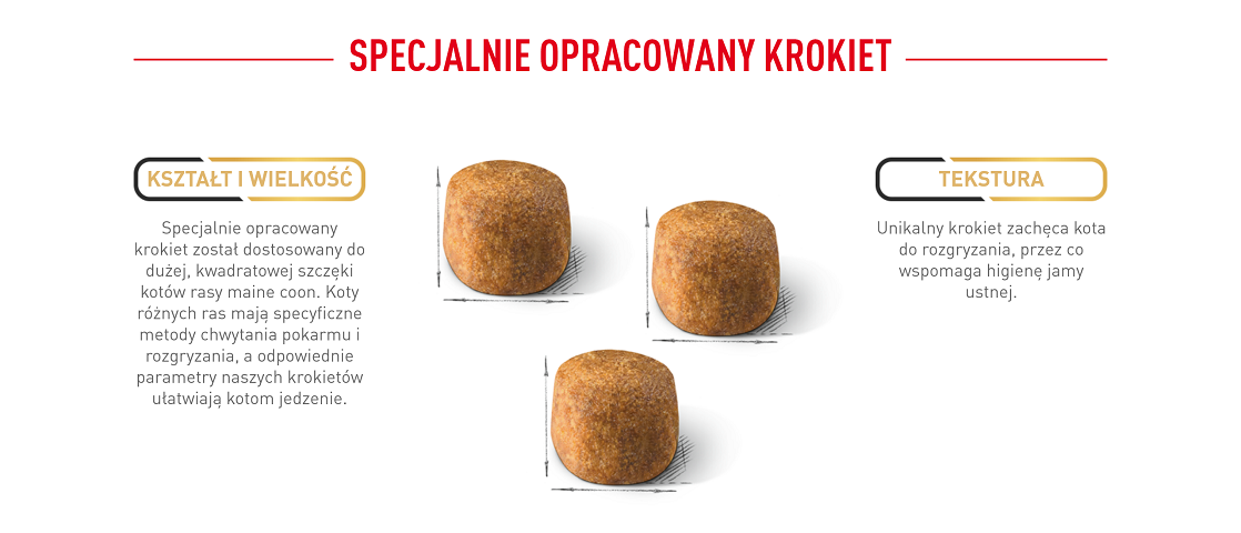 ROYAL CANIN Maine Coon Adult karma sucha dla kotów dorosłych rasy maine coon