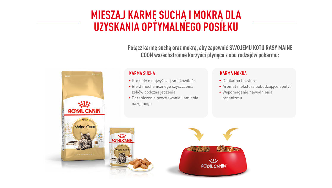 ROYAL CANIN Maine Coon Adult karma sucha dla kotów dorosłych rasy maine coon